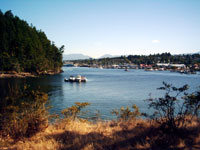 Newcastle_Island_BCcGEliot.jpg